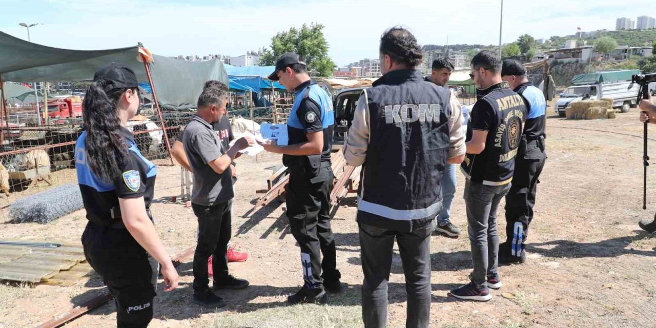 Kurban Pazarlarında Sahte Para Ve Dolandırıcılığa Karşı Uyarı
