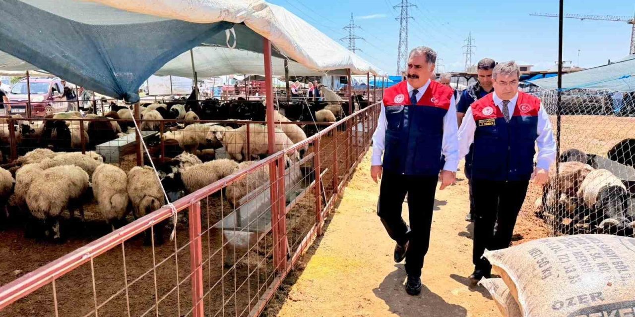 Mersin’de Kurban Bayramı Öncesi Satış Noktalarında Sıkı Denetim