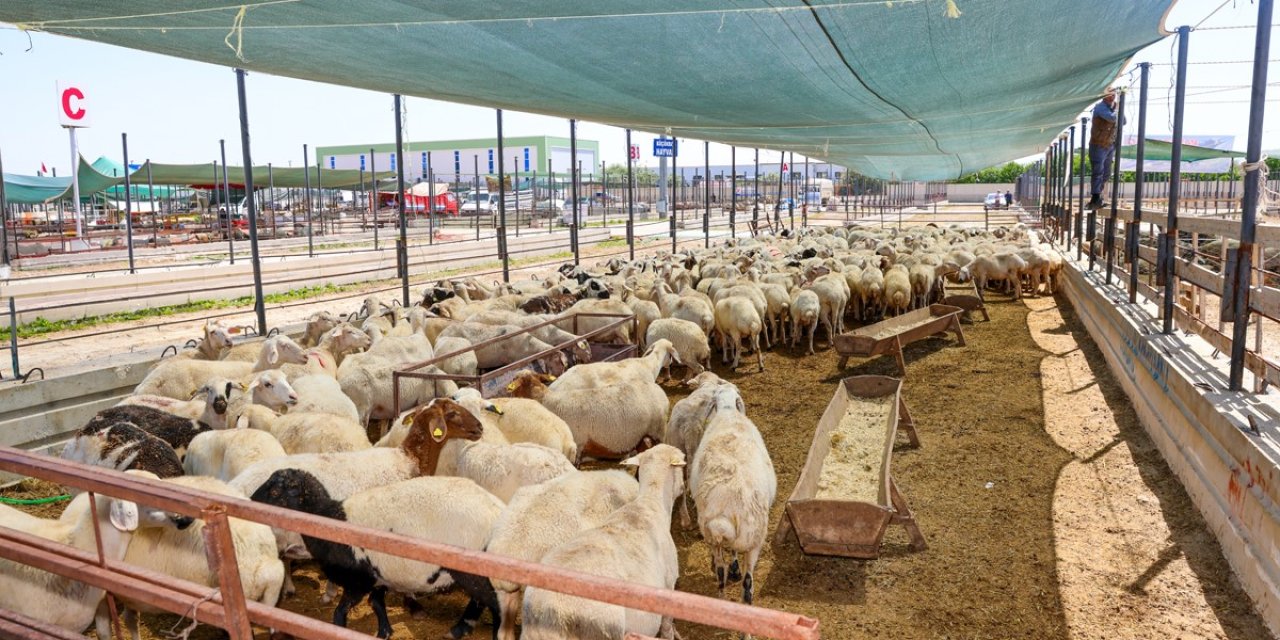 Selçuklu Bayrama Hazır