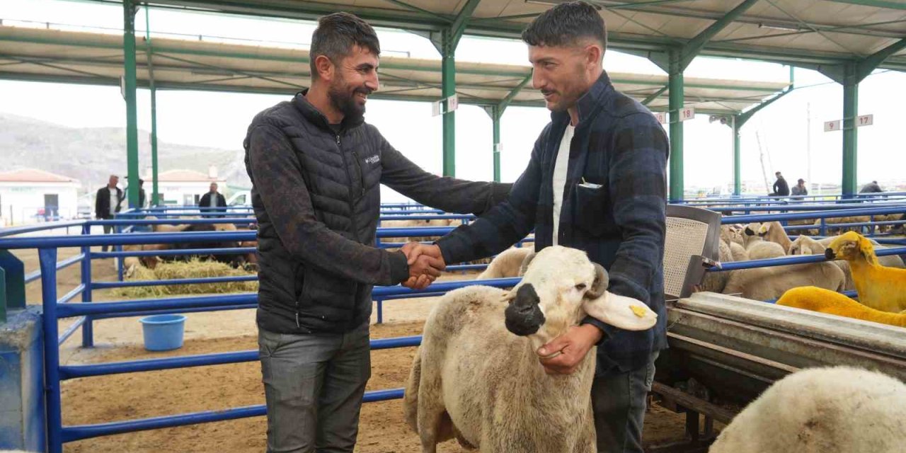 Niğde’de Hayvan Pazarında Bayram Bereketi Yaşanıyor