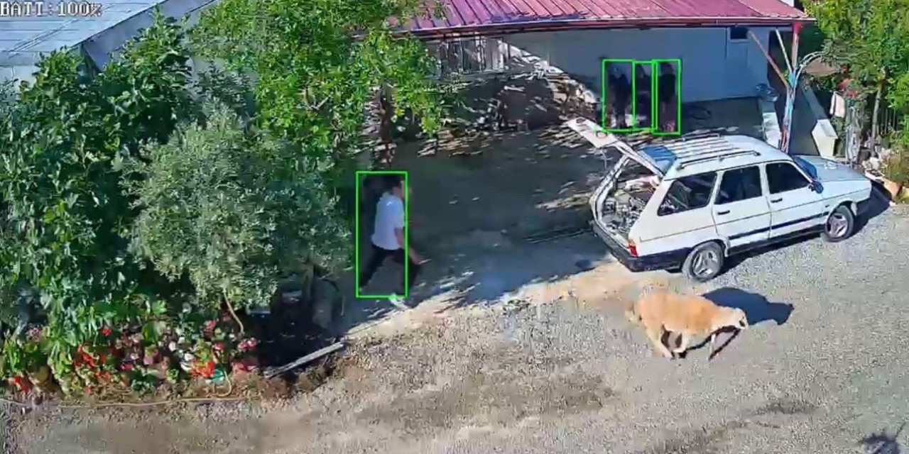 Mersin’de Kurbanlıklar Kaçtı, Bayram Neşesi Kameralara Yansıdı