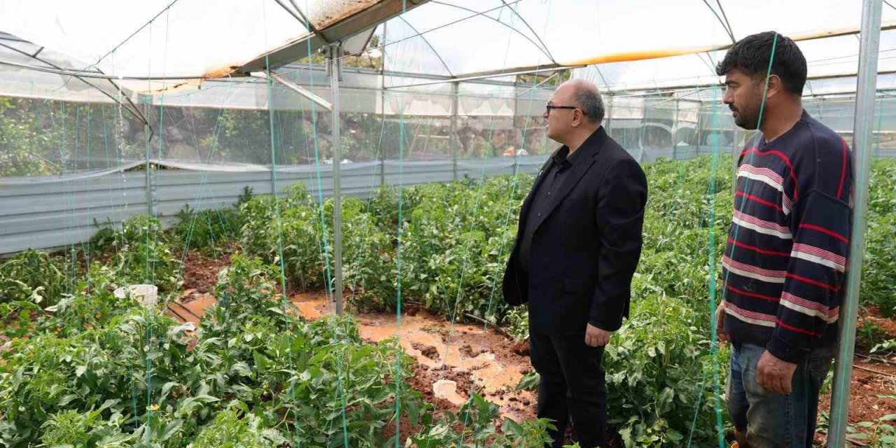Mersin’de Dolu, Sebze Tarlaları Ve Meyve Bahçelerine Zarar Verdi
