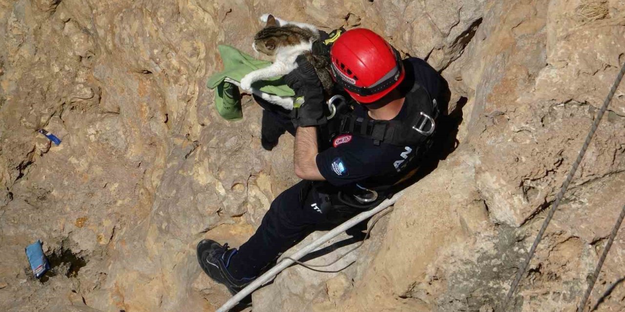 Falezlerde Mahsur Kalan Kedi, İtfaiyenin 1 Saatlik Çalışmasıyla Kurtarıldı