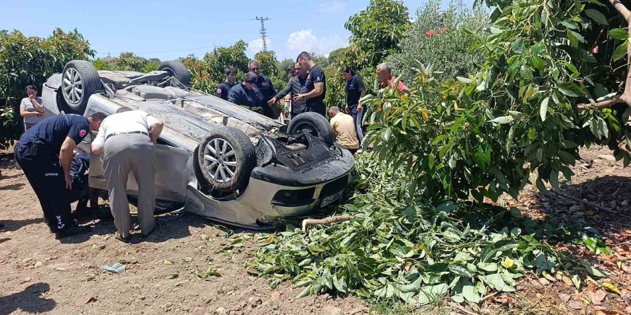 Viraj Alamayan Otomobil Avokado Bahçesine Uçtu
