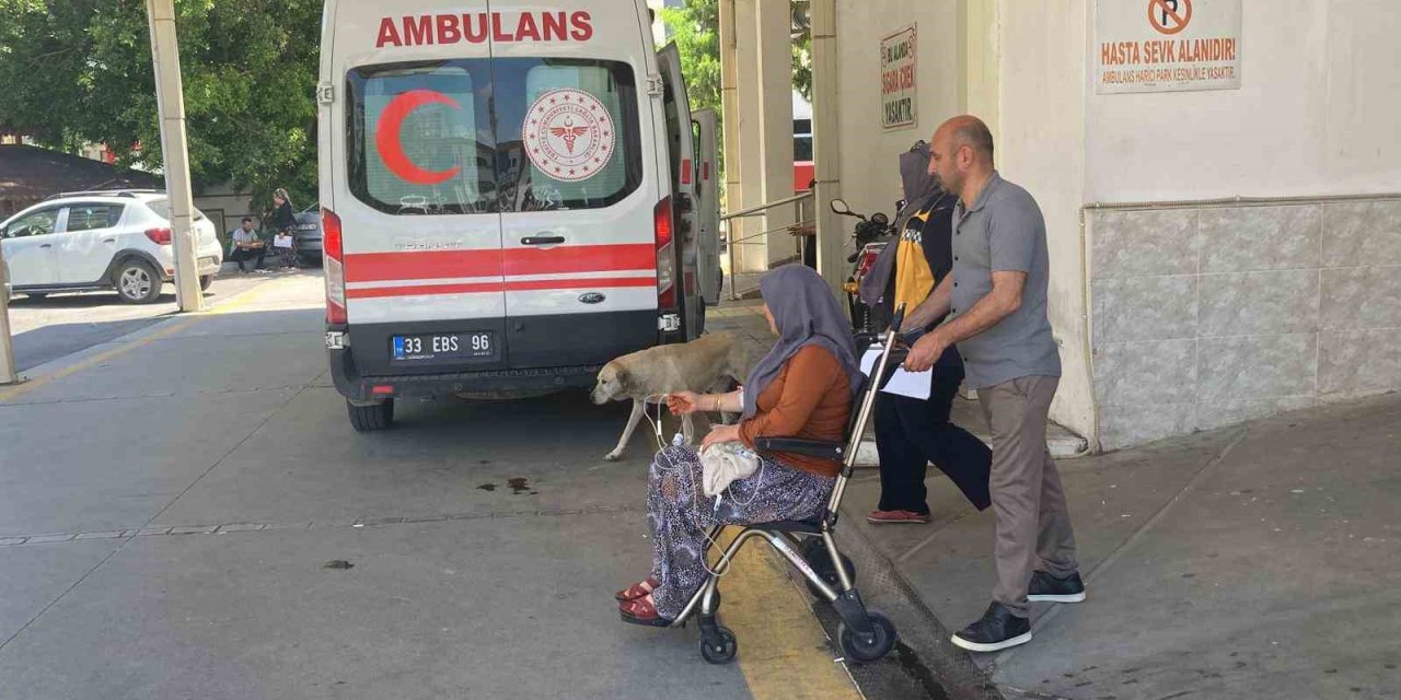 Mantar Yiyen 7 Kişi Zehirlenme Şüphesiyle Hastaneye Kaldırıldı