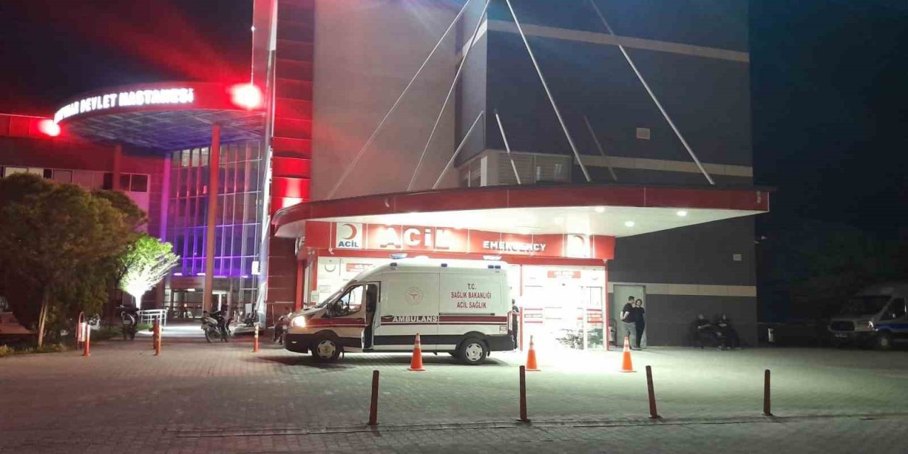 Otomobil Yola Çıkan Köpeğe Çarptı: 4 Yaralı