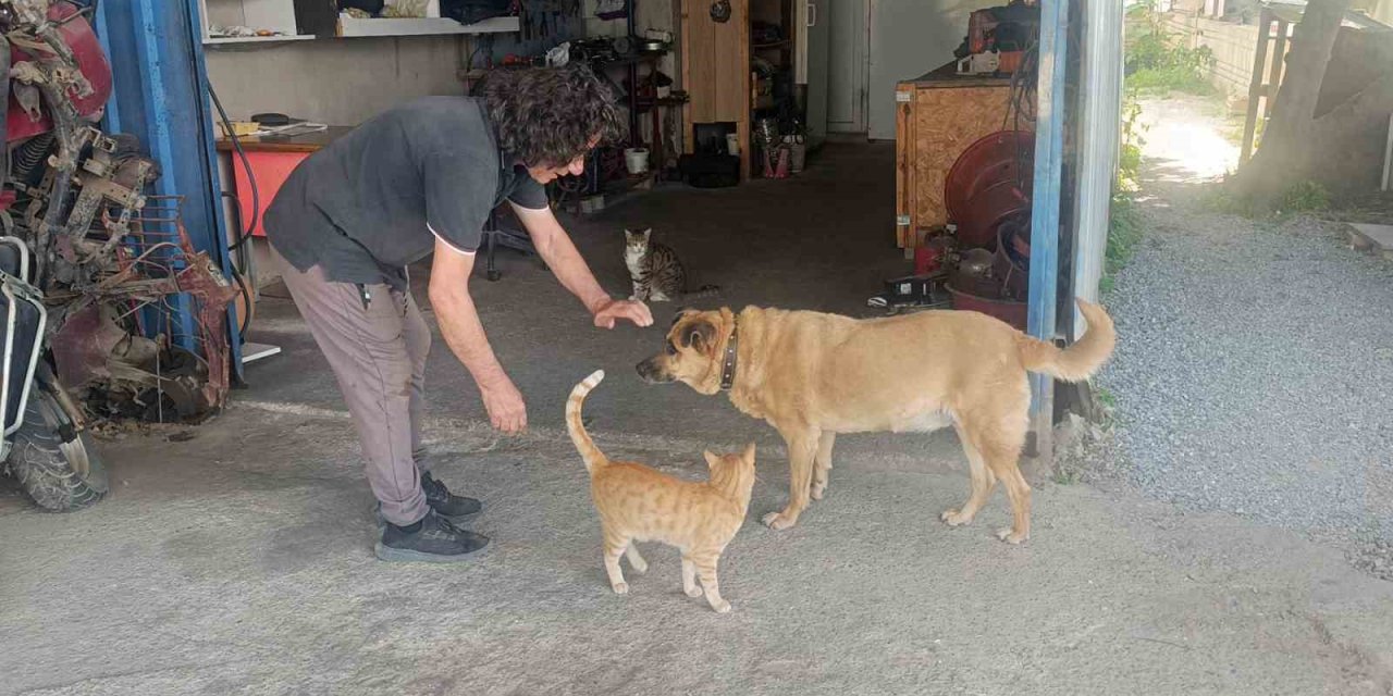 Gözleri Görmeyen Köpeğe 13 Yıldır Evladı Gibi Bakıyor