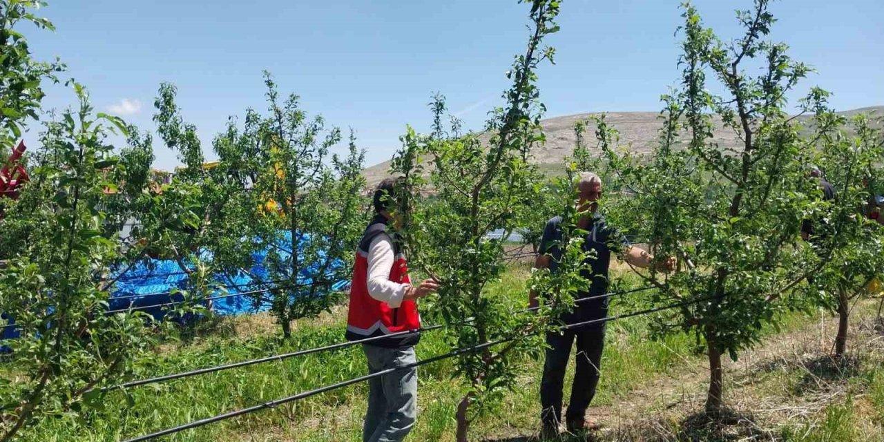 Niğde’de Dolu Ve Sağanak Tarım Arazilerine Zarar Verdi