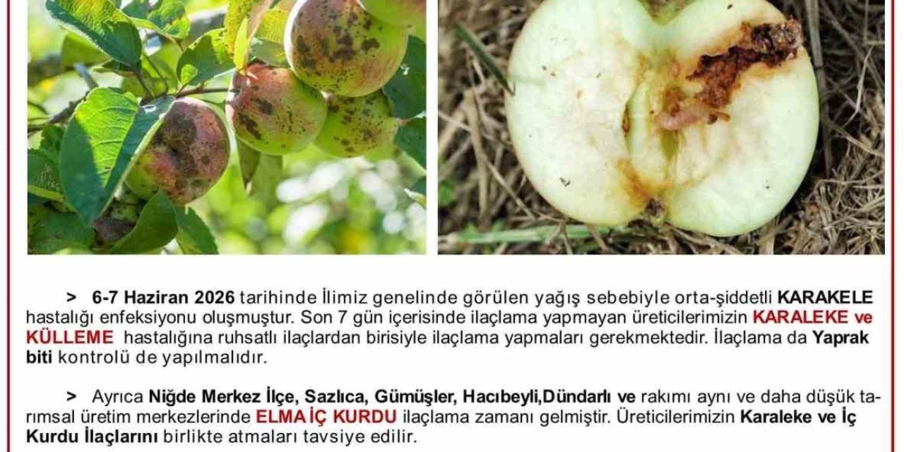 Üreticilere Karaleke Ve İç Kurdu Uyarısı