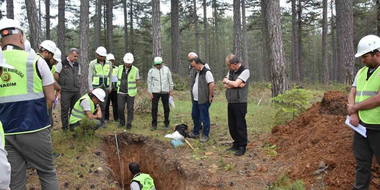 Beyşehir Ormanlarında Geleceğe Yatırım