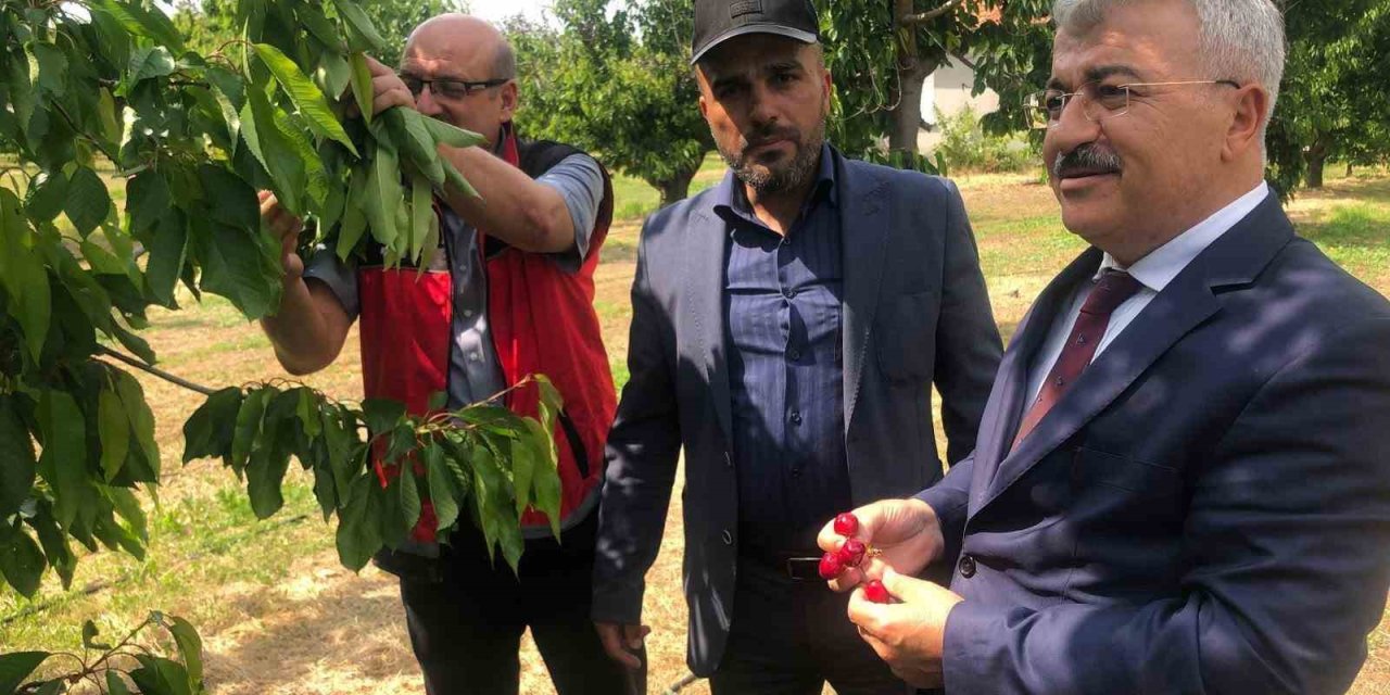 Akşehir Kirazı’nın Geleceği Sahada Değerlendirildi