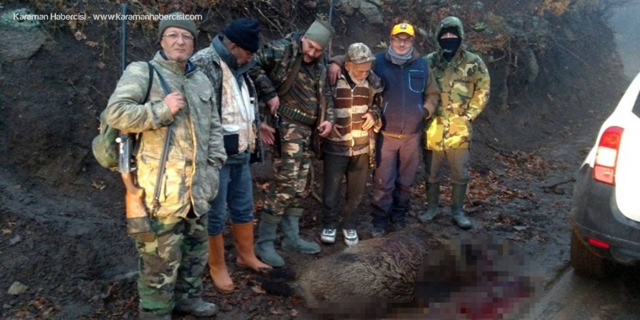 Karaman’da Yaban Domuzlarına Karşı Sürek Avları Devam Ediyor