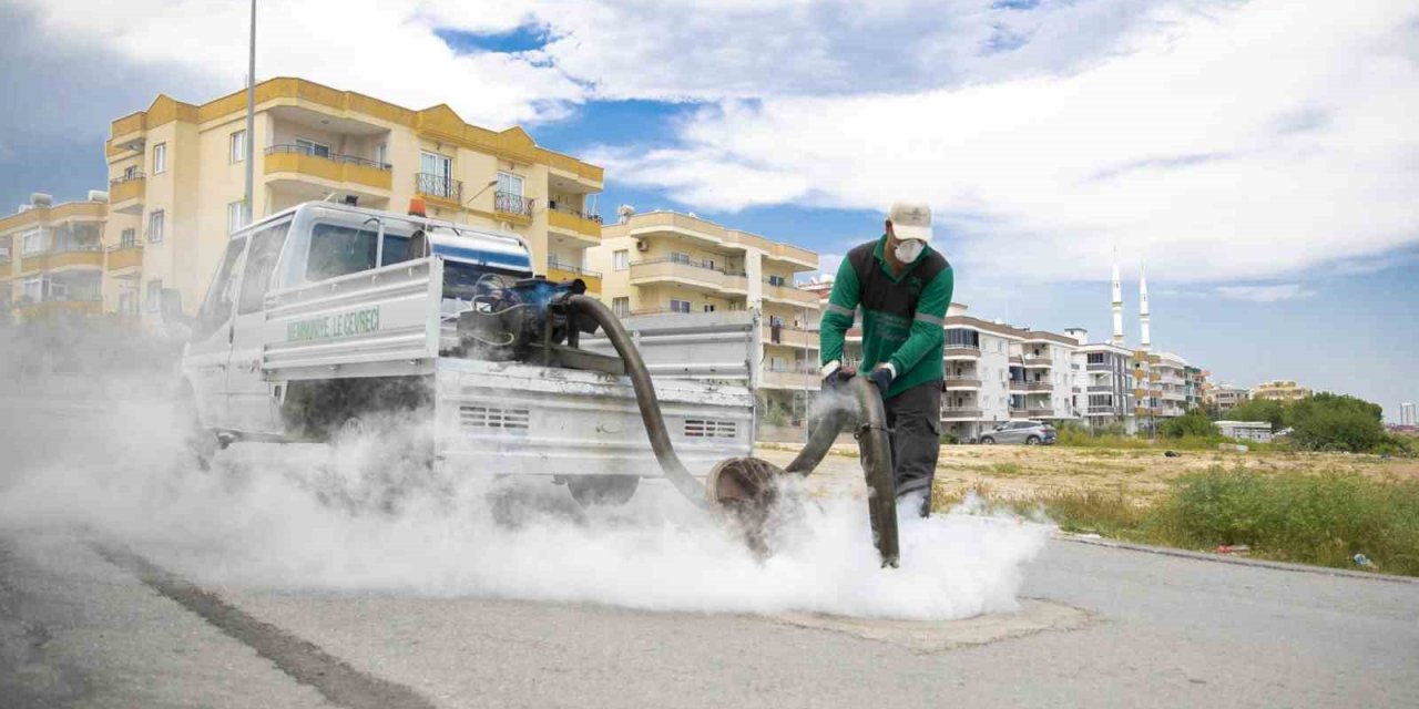 Mersin’de Sinek Ve Haşerelere Karşı Yoğun Mesai