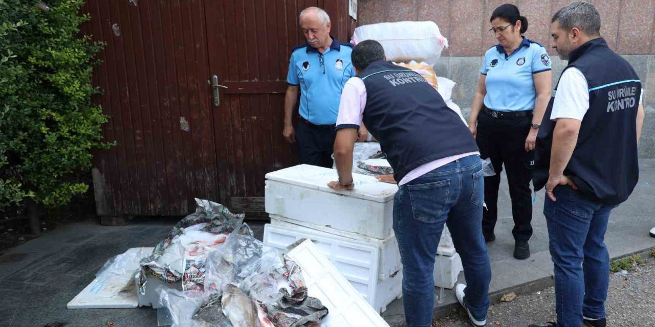 Antalya Otogarı’nda Balık Operasyonu: 260 Kilo Ele Geçirildi