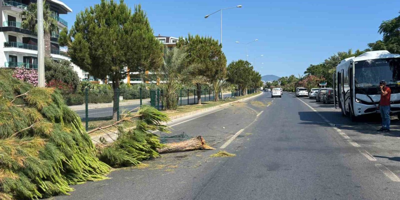 Alanya’da Alkollü Sürücünün Kullandığı Midibüs Refüjü Aşıp Karşı Şeride Geçti