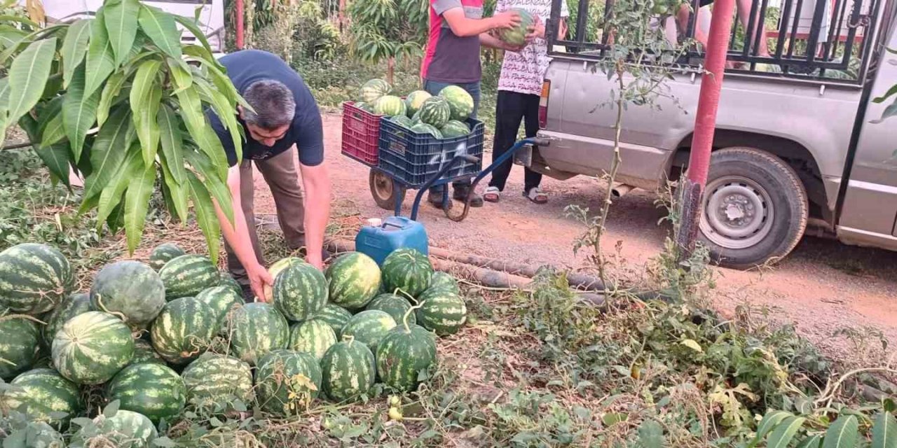 Hayırsever Çiftçinin Tarlası Bu Yıl Öğrencilerin İçin Hasat Edildi