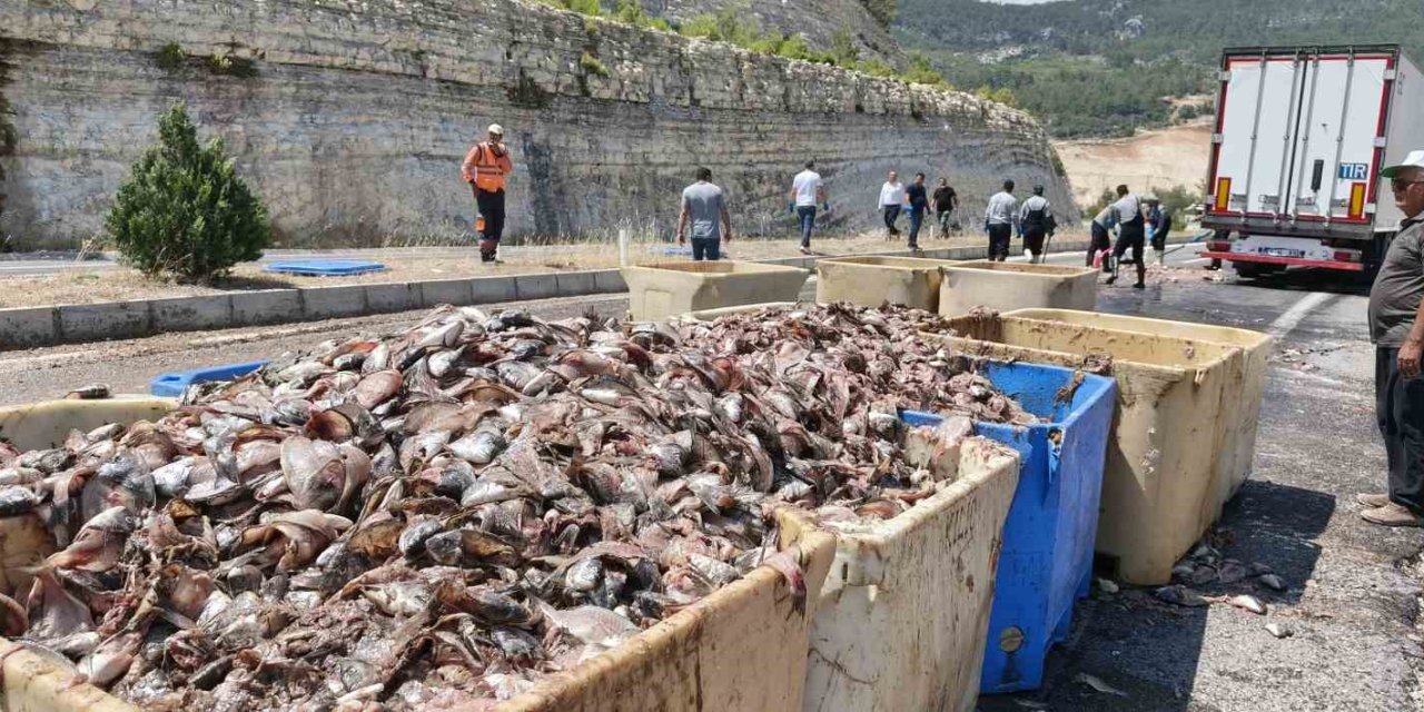 Seyir Halindeki Tırın Dorsesi Patladı, 15 Ton Balık Atığı Yola Saçıldı