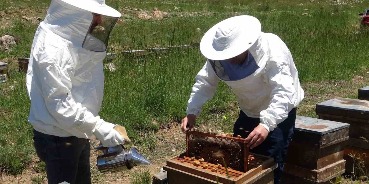 Toroslarda Bahar: 2 Bin 400 Rakıma Taşınan Arılar Mesaiye Başladı