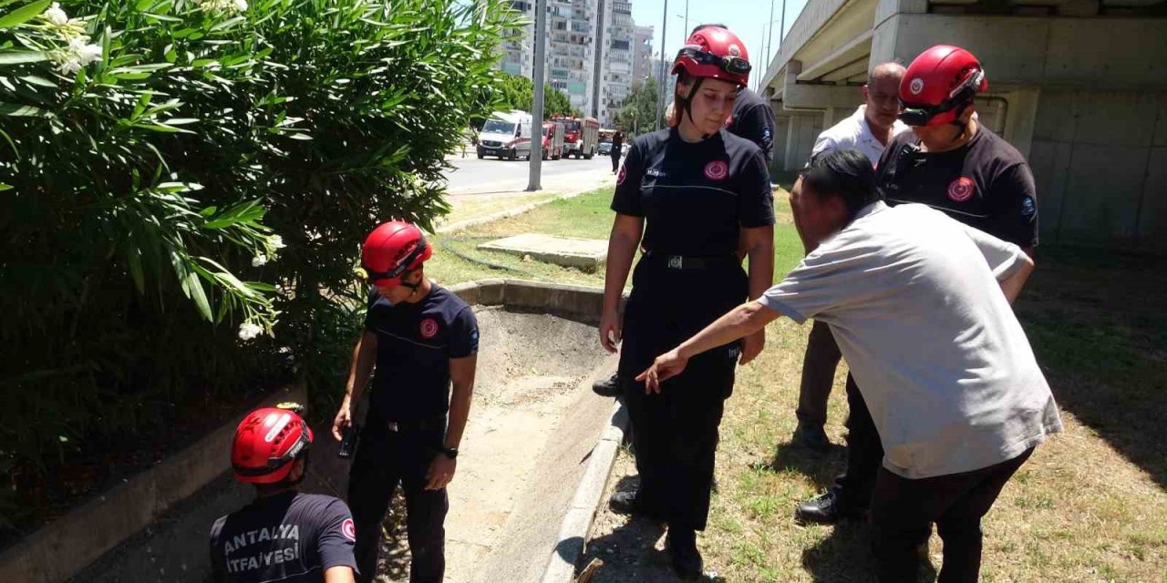 Düştü Diye İhbar Ettiği Babası Bile Düşmediğine İkna Edemedi