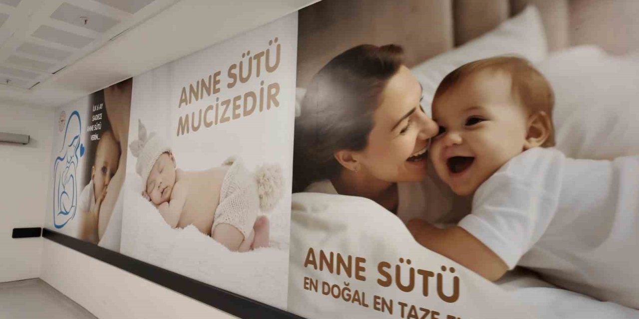 Yenidoğan Topuk Kanı Testi Hayat Kurtarıyor