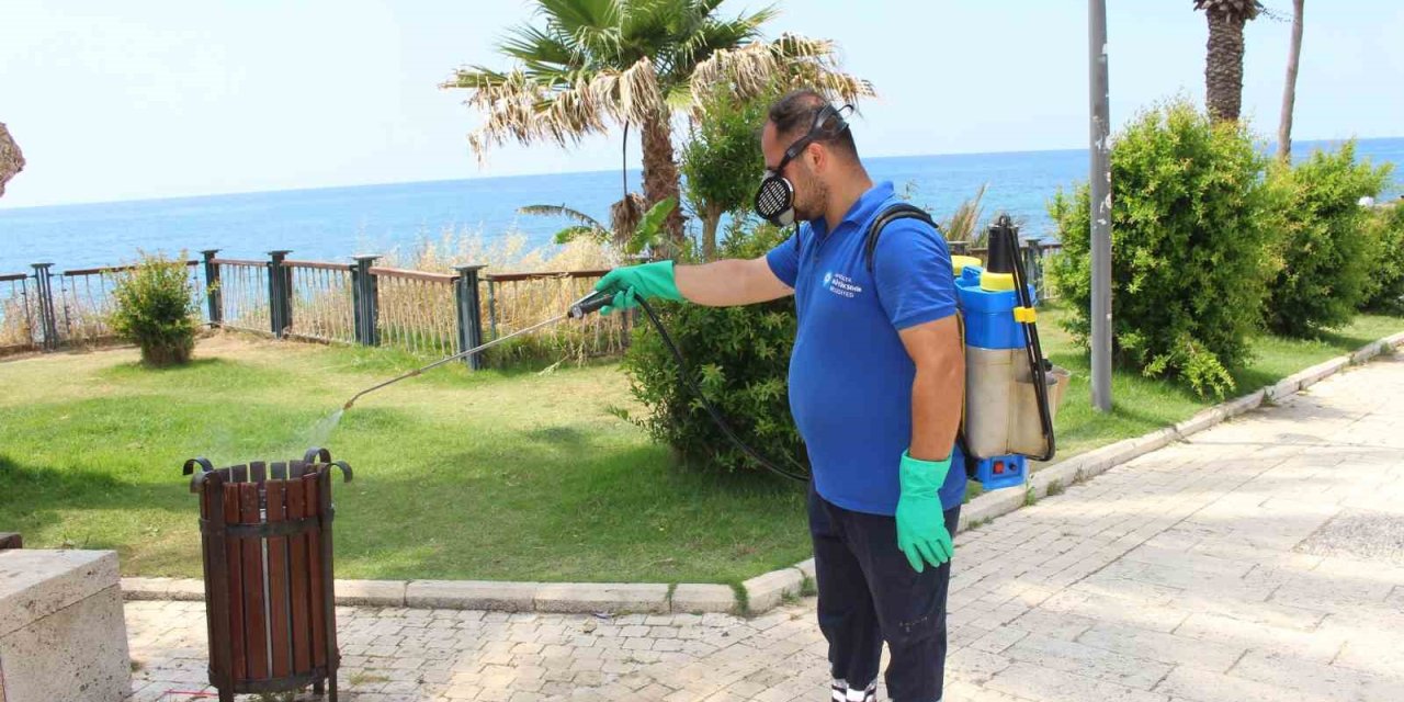 Antalya’da Vektörle Mücadele 19 İlçede Sürdürülüyor