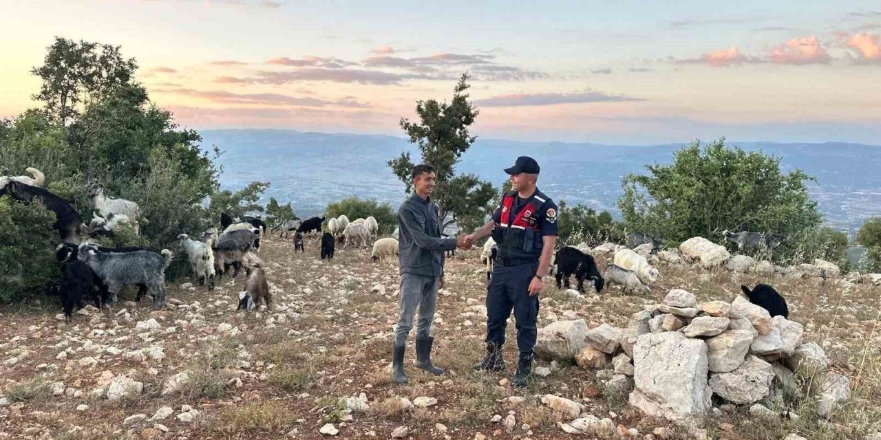 Mersin’de Kayıp 40 Küçükbaş Dronla Bulundu