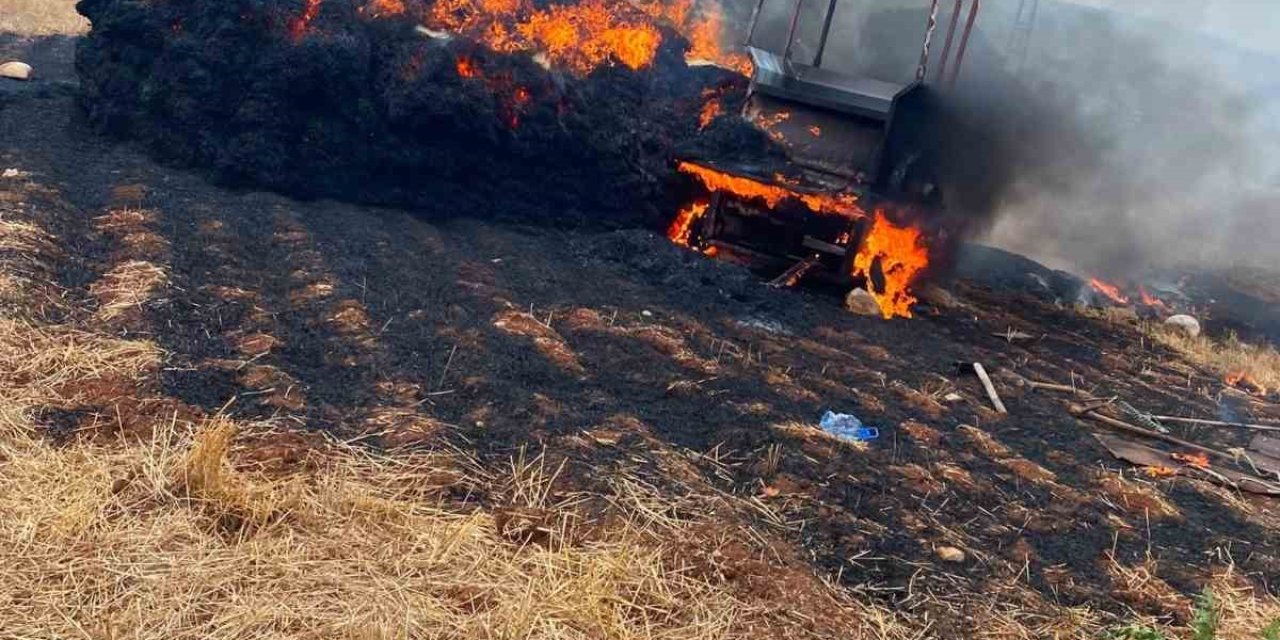 Tarsus’ta Saman Balyaları Alevlere Teslim Oldu