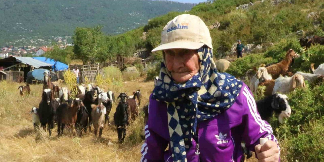 Antalya’nın Süper Çobanı Emine Nine: 94 Yaşında, 90 Yıldır Keçileriyle Dağlarda