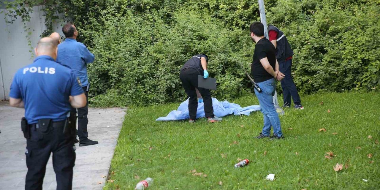 Panaromik Asansörde Manzara İzlerken Düşerek Hayatını Kaybetti