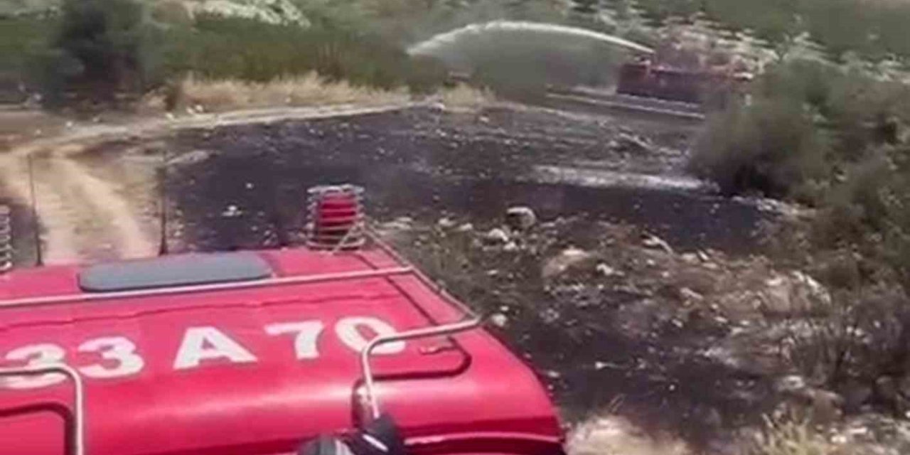 Mersin’de 6 Dekar Bahçe Yangında Zarar Gördü
