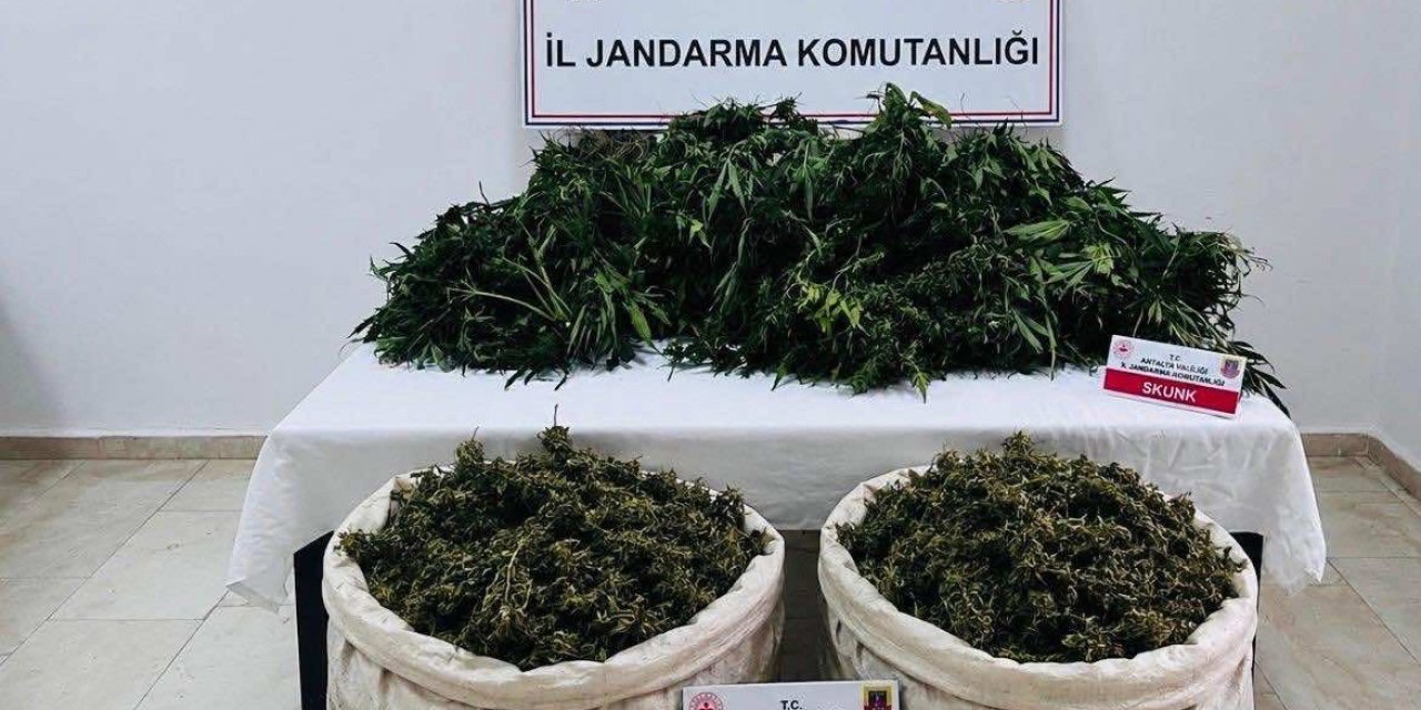 Antalya’da Uyuşturucu Operasyonunda 11 Kilo 100 Gram Kubar Esrar Ele Geçirildi