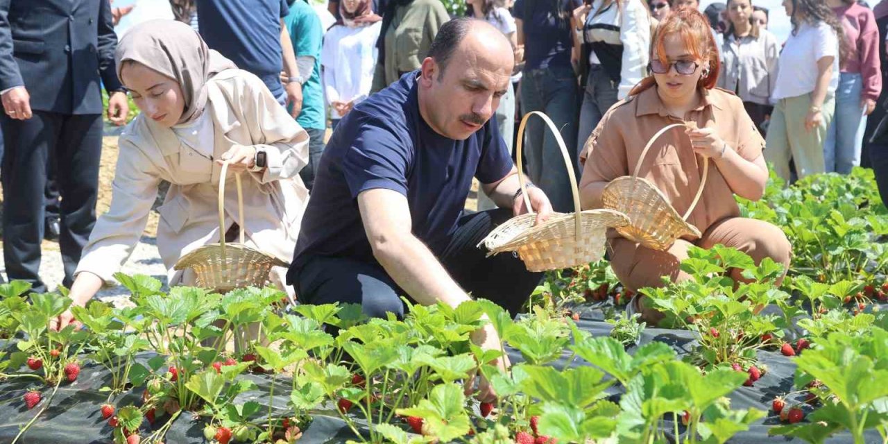 Başkan Altay, 2027 Yılı Tarımsal Destek Başvurularının 1 Temmuz’da Başlayacağını Duyurdu
