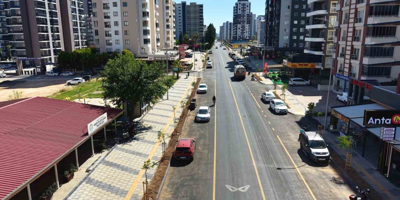 Mersin’de Yenilenen Cadde 420 Ağaçla Buluştu