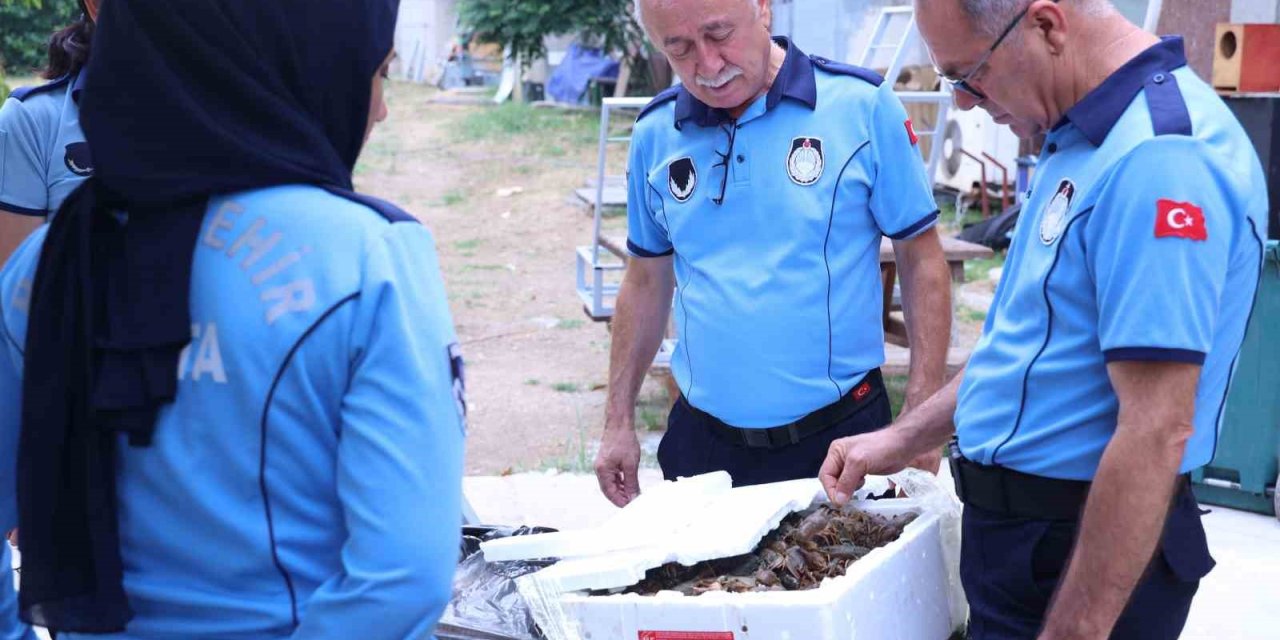 Antalya Otobüs Terminali’nde Kerevit Operasyonu: 90 Kilogram Ele Geçirildi
