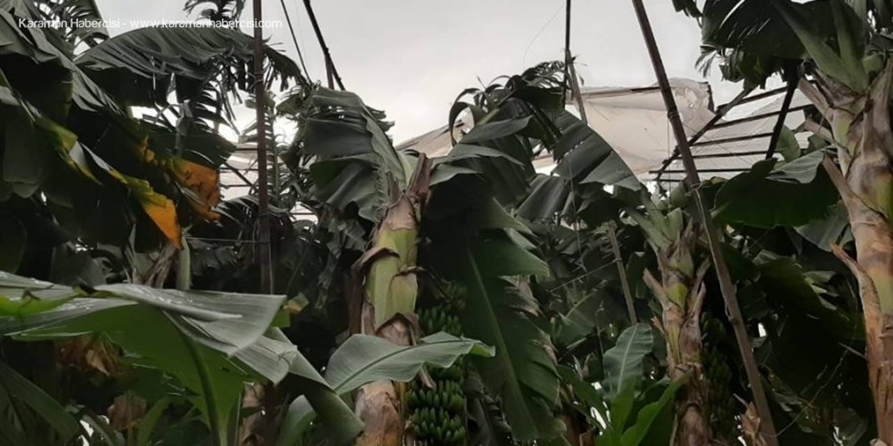 Anamur’da Hortum Seralara Zarar Verdi