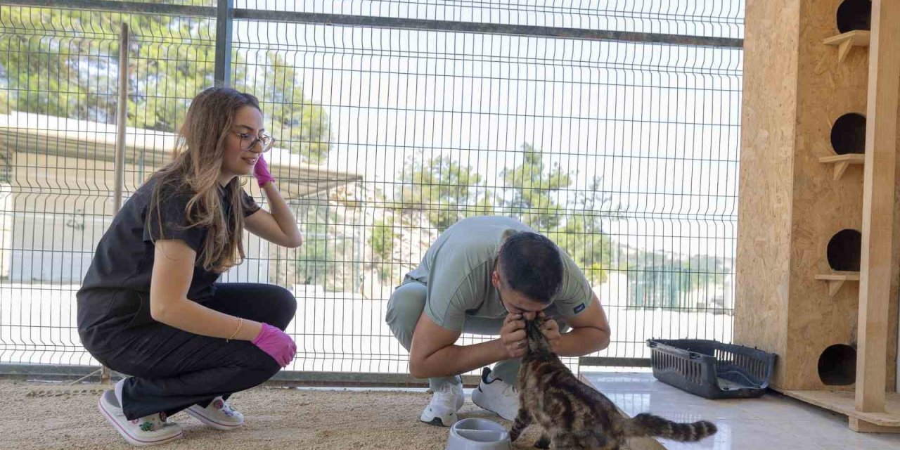 Mersin’de Yaralı Hayvanlar Yeniden Yaşama Tutunuyor