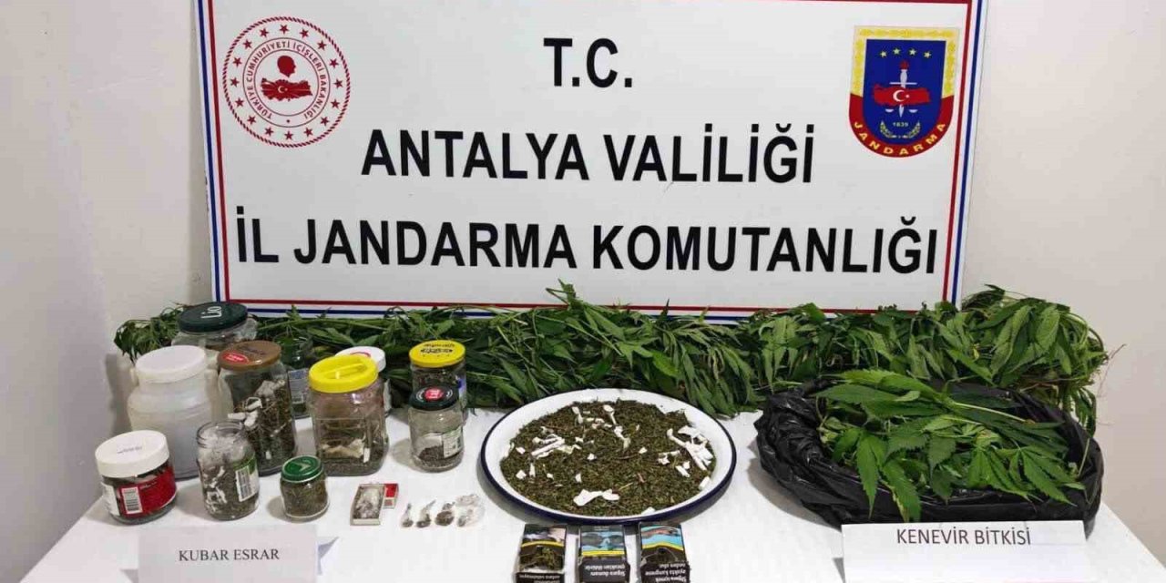 Manavgat’ta 2 Kilo Kubar Esrar Ve 130 Kök Kenevir Ele Geçirildi