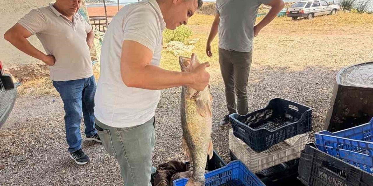 Beyşehir Gölü’nde Avlanan Balıklar Tek Tek Kontrol Edildi