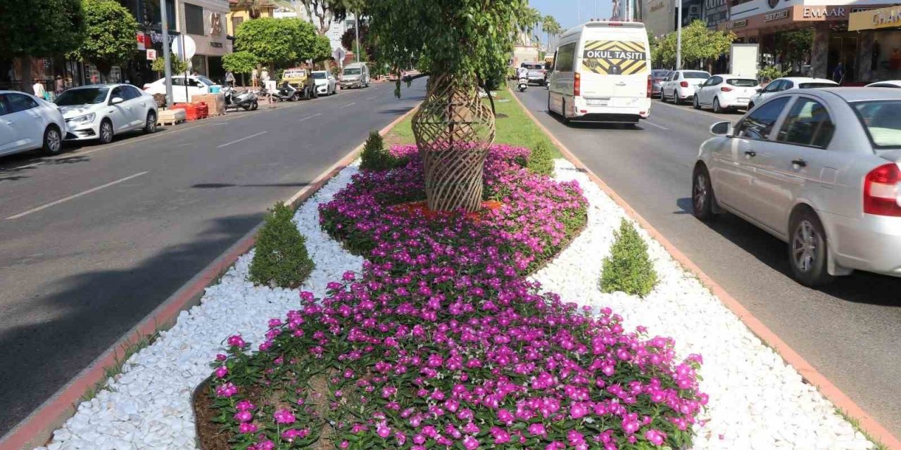 Alanya Belediyesi’nden Yeşil Alanlarda Yoğun Mesai