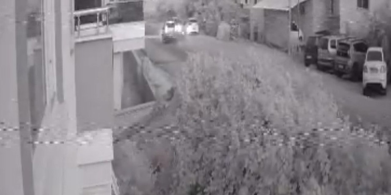 Alanya’da Otomobil İle Kamyonet Çarpıştı: 2 Yaralı