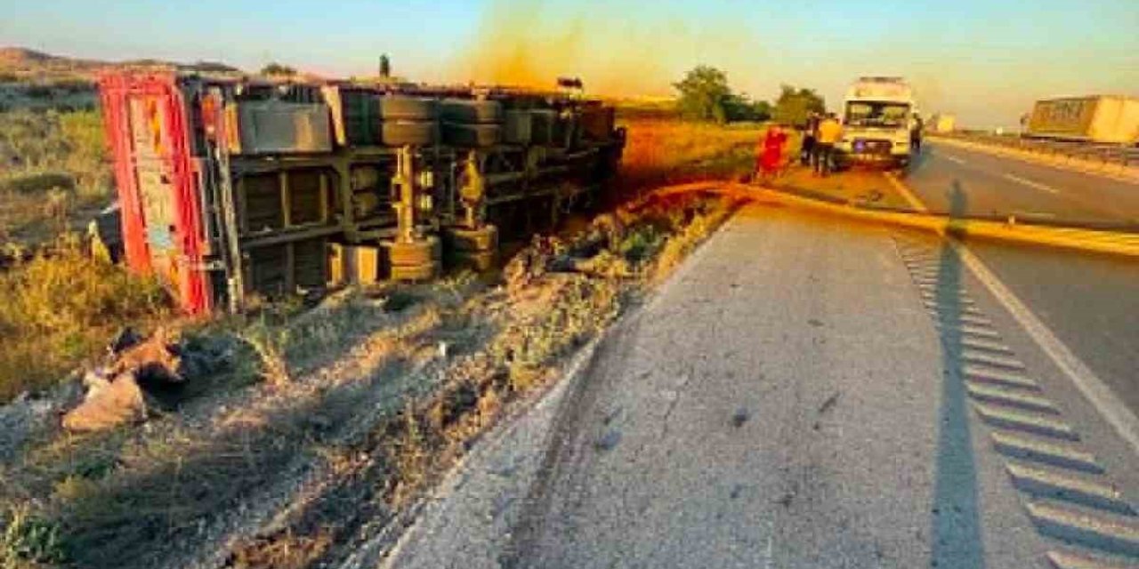 Kontrolden Çıkan Kamyon Devrildi: 1 Yaralı