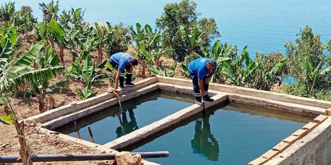 Antalya’da Vektörel Mücadele Kültürel, Fiziksel, Biyolojik Ve Kimyasal Olarak Gerçekleştiriliyor
