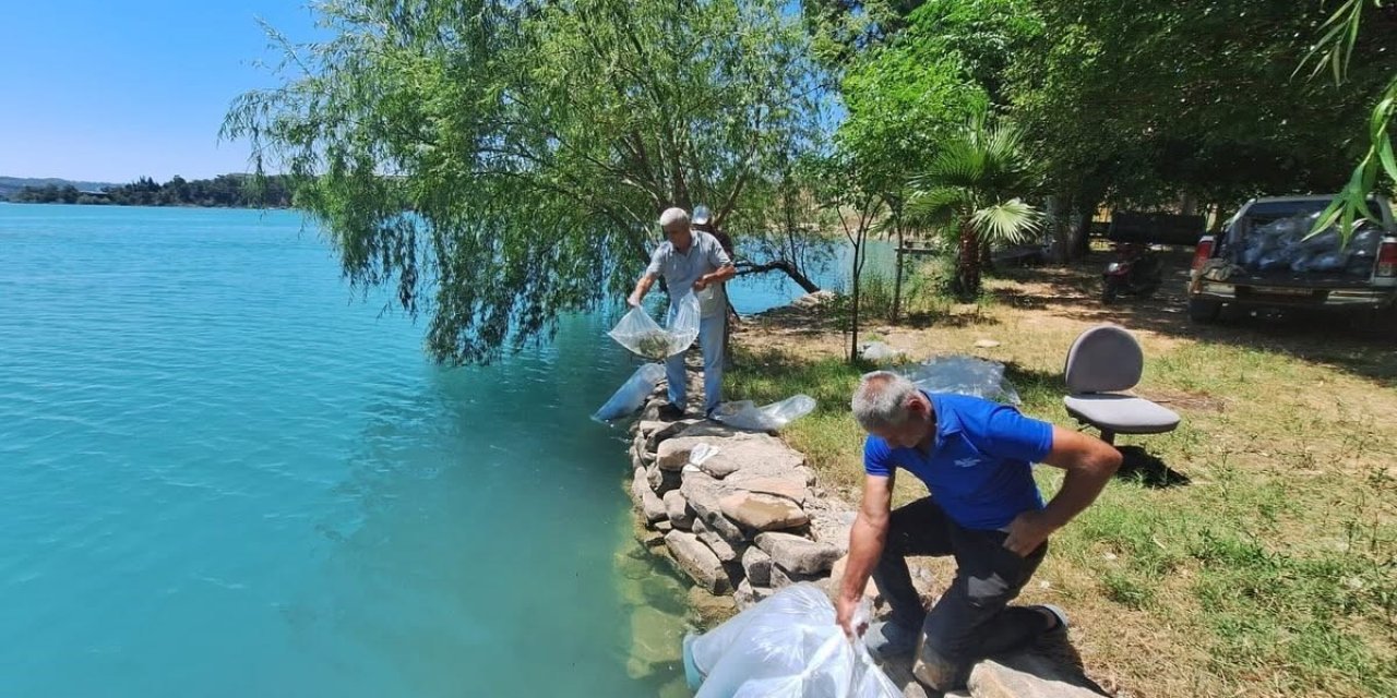 Manavgat’ta 400 Bin Balık Yavrusu Baraj Gölünde Bırakıldı
