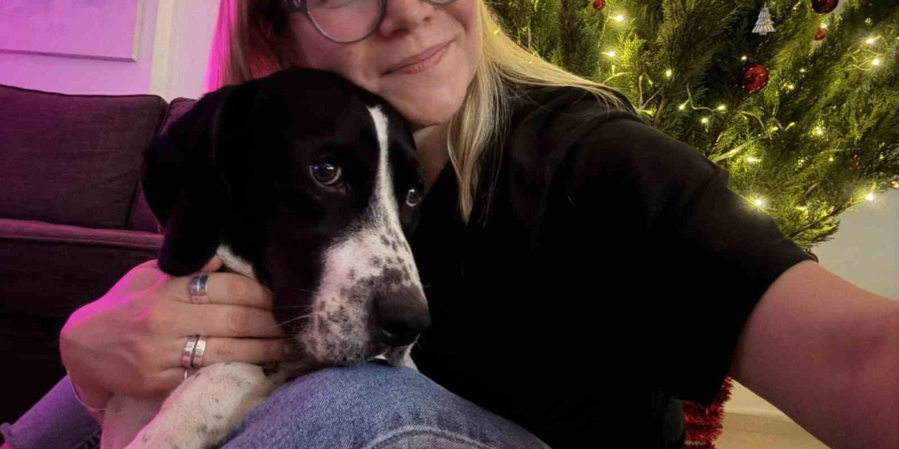Rus Kadın 4 Ay Önce Kaybolan Köpeğini 4 İlçede Arıyor, Binlerce Afiş Bastırıp Her Yere Asıyor