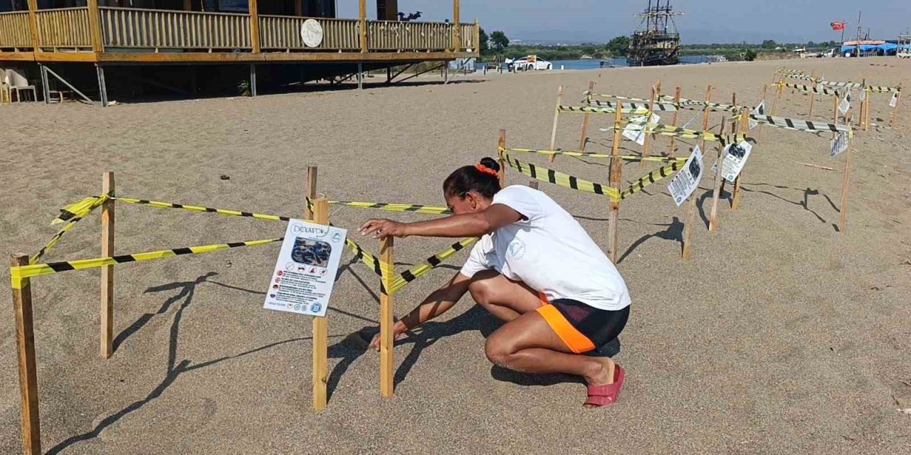 Manavgat’ta Caretta Caretta Yavrularına Koruma Nöbeti