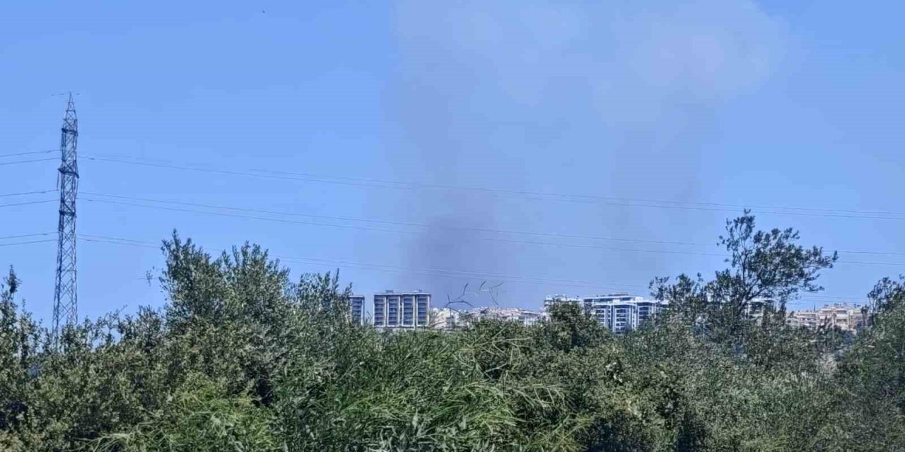 Antalya’da Ormanlık Alanda Yangın