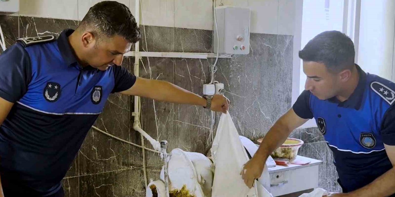 Tarsus’ta Fırın Denetimlerinde Haşereli Hamur Tespit Edildi
