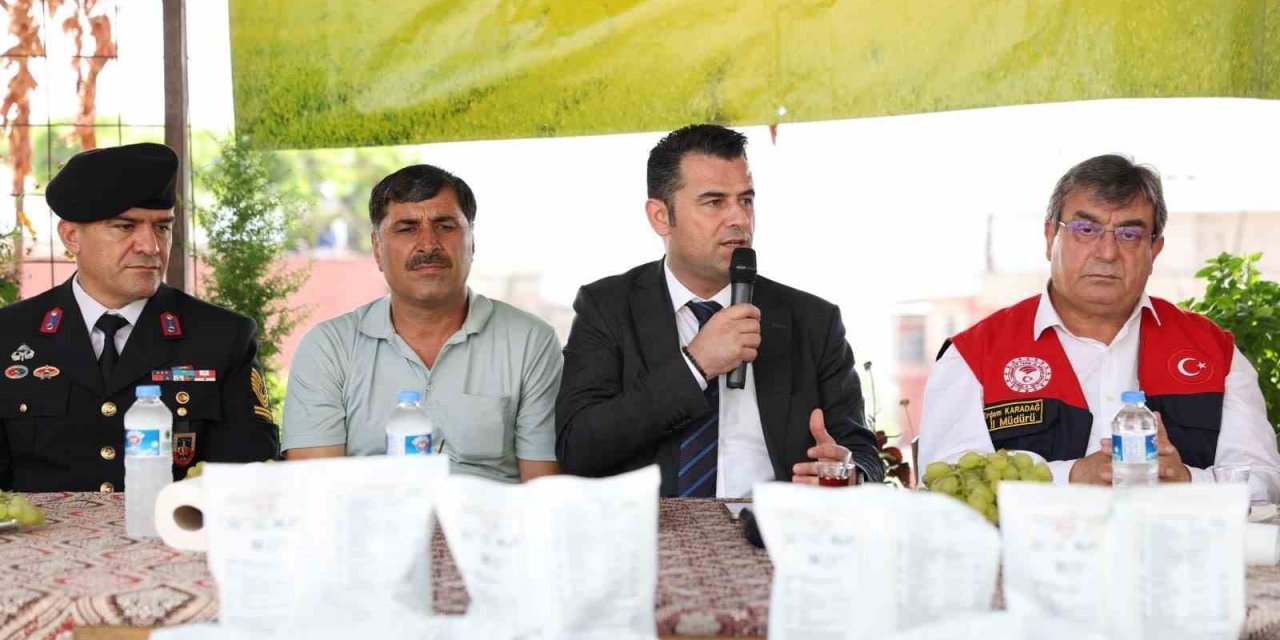 Akdeniz’de Meyve Sineğiyle Mücadeleye İlaç Desteği