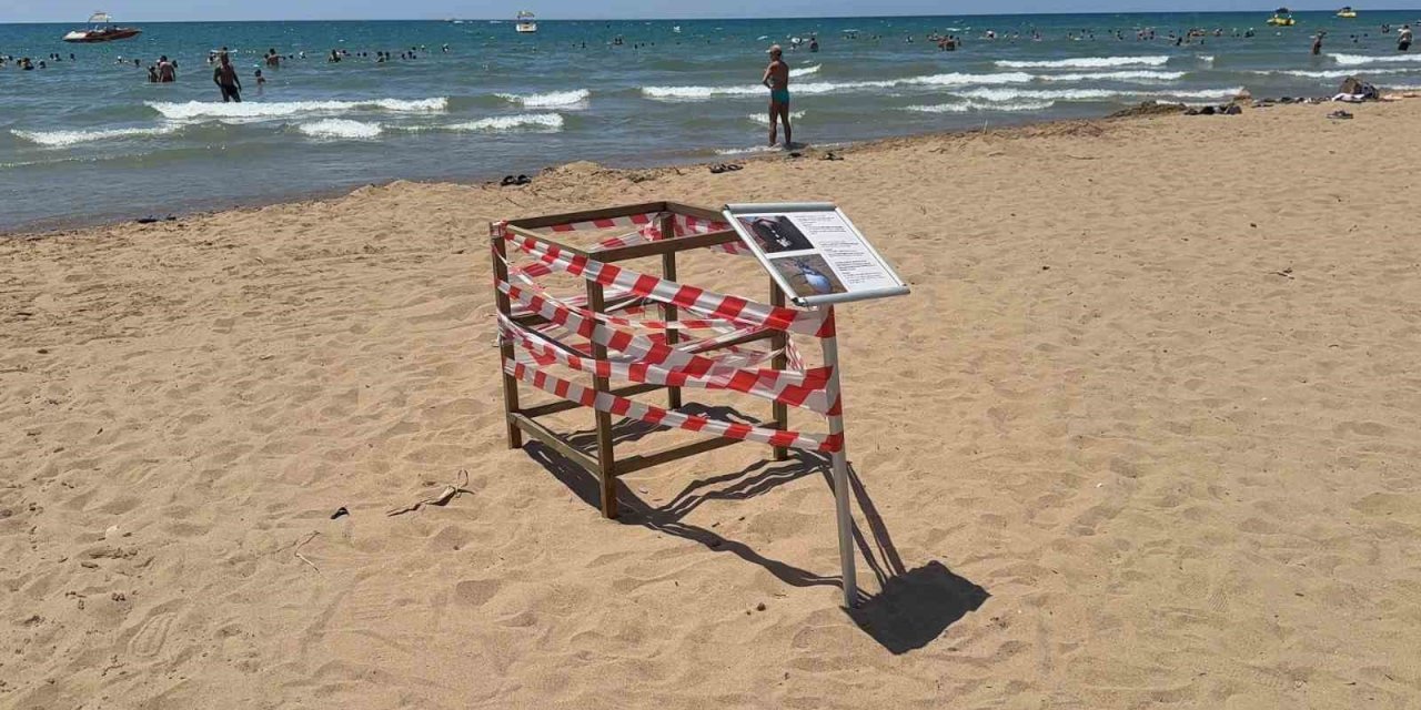 Antalya’da ’caretta Caretta’ Yuvası Bilmecesi