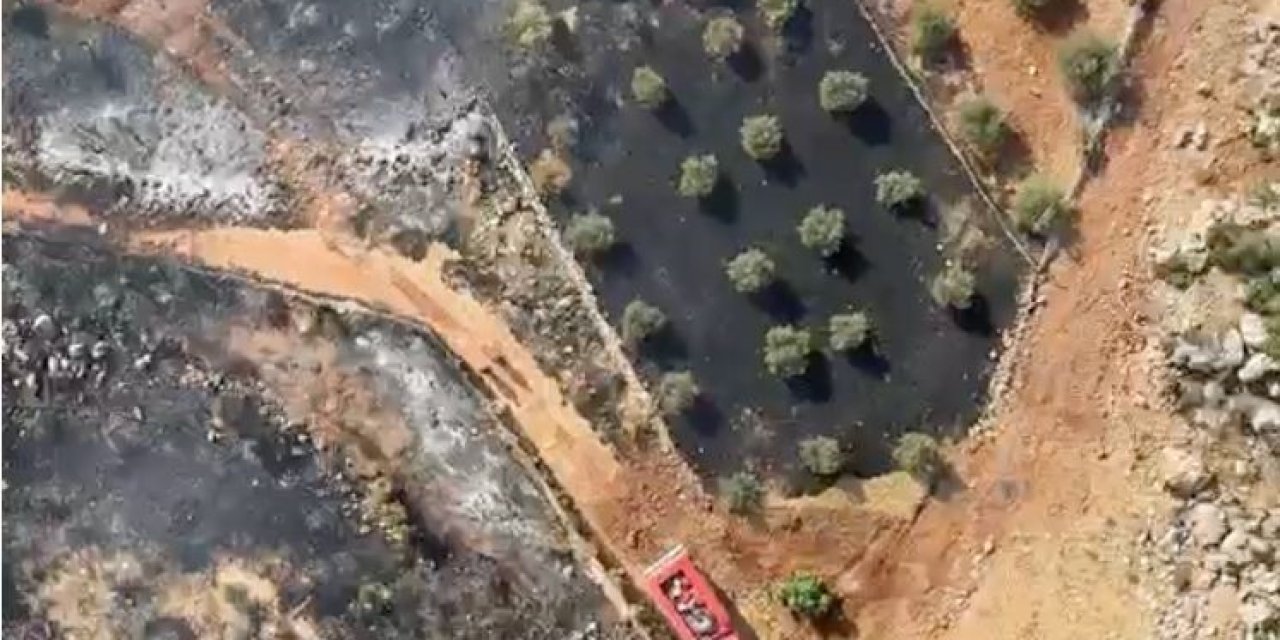 Antalya’da Ormanlık Alanı Tehdit Eden Yangın